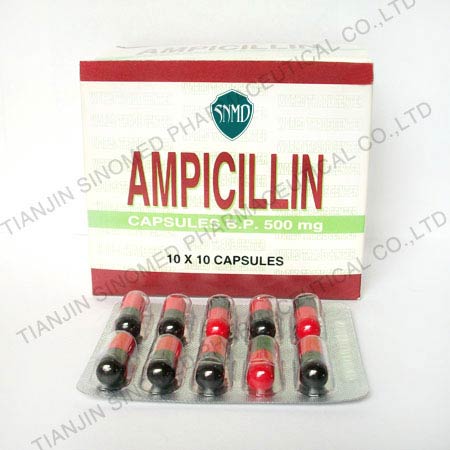 Ampicilina Capsules