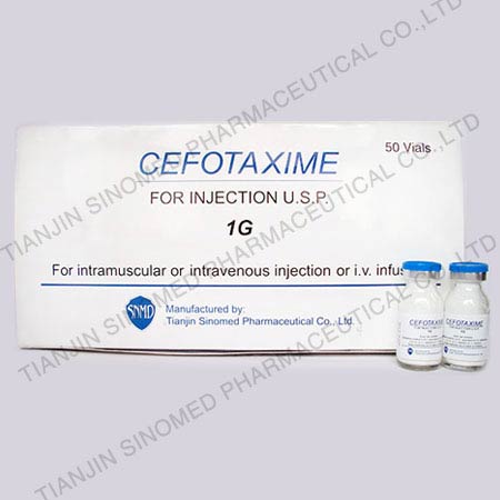 Cefotaxime powder for Injection